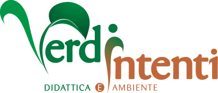 Verdi Intenti