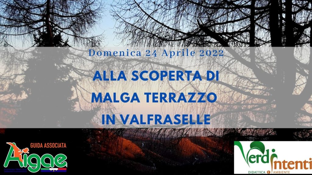 Malga Terrazzo